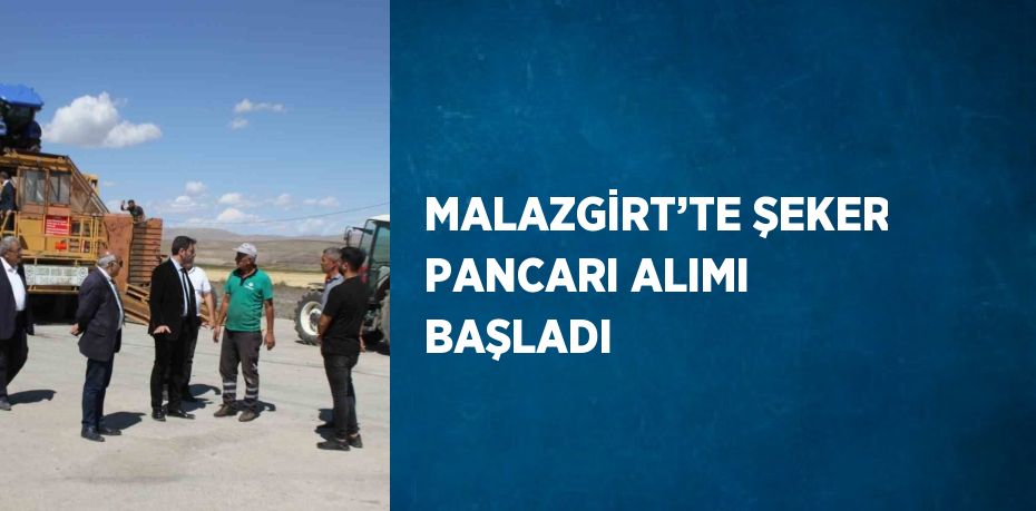 MALAZGİRT’TE ŞEKER PANCARI ALIMI BAŞLADI