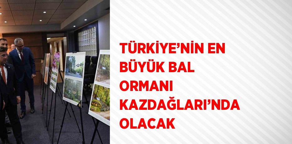 TÜRKİYE’NİN EN BÜYÜK BAL ORMANI KAZDAĞLARI’NDA OLACAK