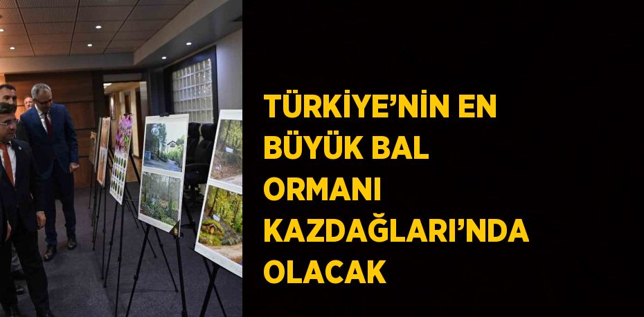 TÜRKİYE’NİN EN BÜYÜK BAL ORMANI KAZDAĞLARI’NDA OLACAK