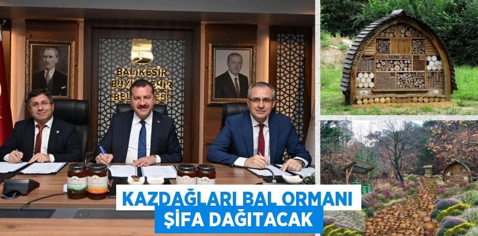 KAZDAĞLARI BAL ORMANI  ŞİFA DAĞITACAK