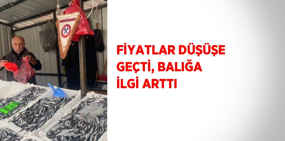 FİYATLAR DÜŞÜŞE GEÇTİ, BALIĞA İLGİ ARTTI