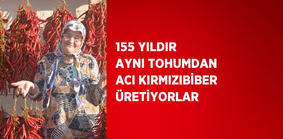 155 YILDIR AYNI TOHUMDAN ACI KIRMIZIBİBER ÜRETİYORLAR