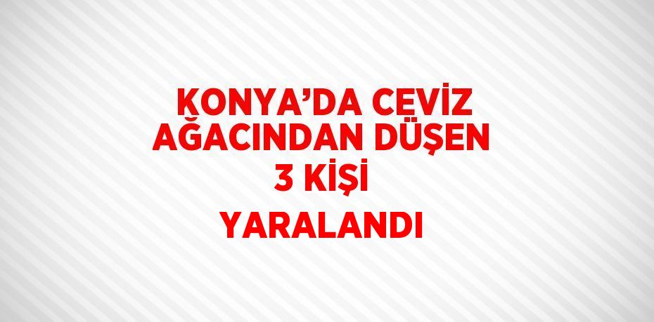 KONYA’DA CEVİZ AĞACINDAN DÜŞEN 3 KİŞİ YARALANDI