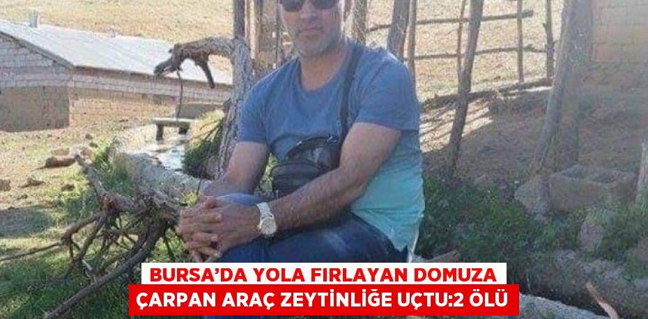 BURSA’DA YOLA FIRLAYAN DOMUZA ÇARPAN ARAÇ ZEYTİNLİĞE UÇTU:2 ÖLÜ