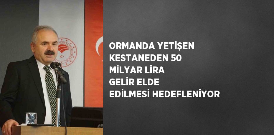 ORMANDA YETİŞEN KESTANEDEN 50 MİLYAR LİRA GELİR ELDE EDİLMESİ HEDEFLENİYOR