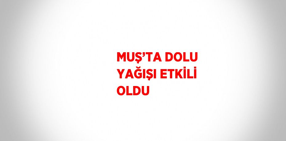 MUŞ’TA DOLU YAĞIŞI ETKİLİ OLDU