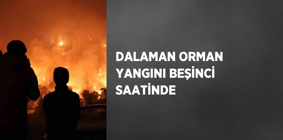 DALAMAN ORMAN YANGINI BEŞİNCİ SAATİNDE