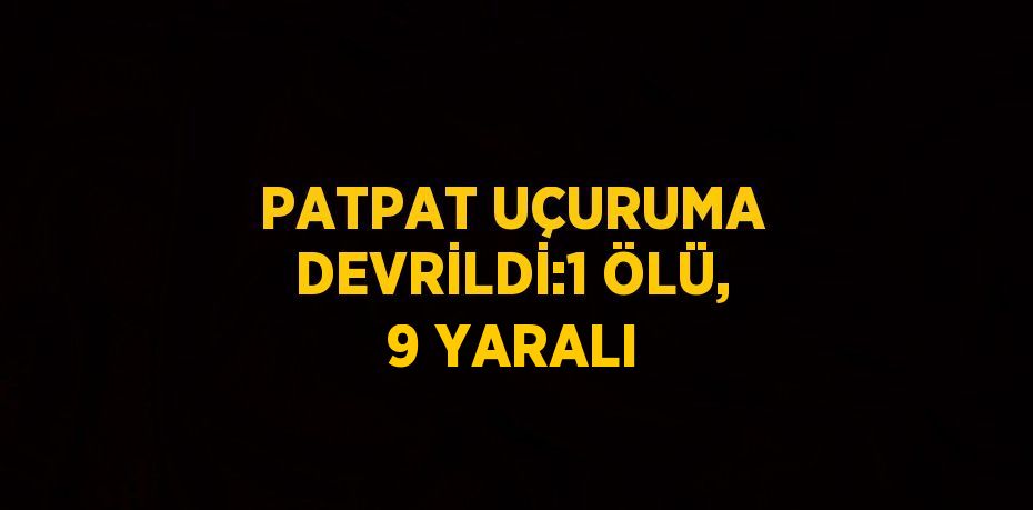 PATPAT UÇURUMA DEVRİLDİ:1 ÖLÜ, 9 YARALI