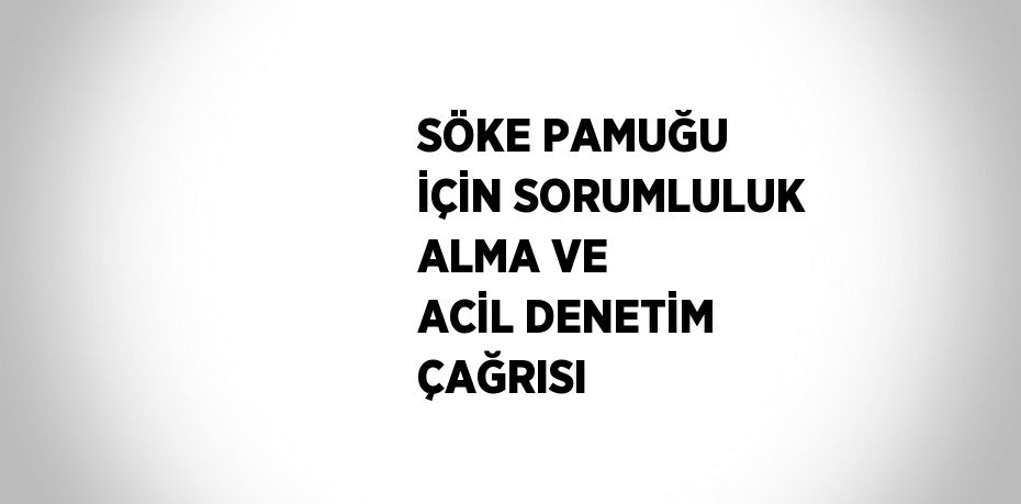 SÖKE PAMUĞU İÇİN SORUMLULUK ALMA VE ACİL DENETİM ÇAĞRISI