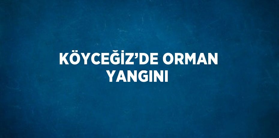 KÖYCEĞİZ’DE ORMAN YANGINI