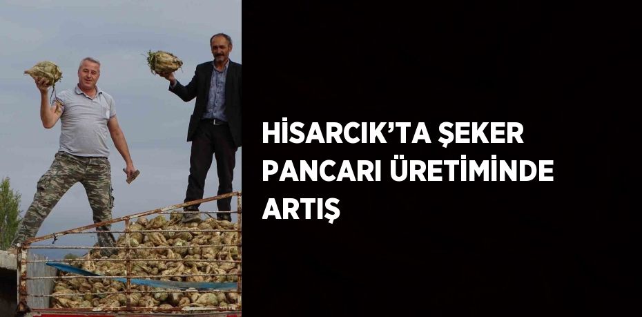 HİSARCIK’TA ŞEKER PANCARI ÜRETİMİNDE ARTIŞ