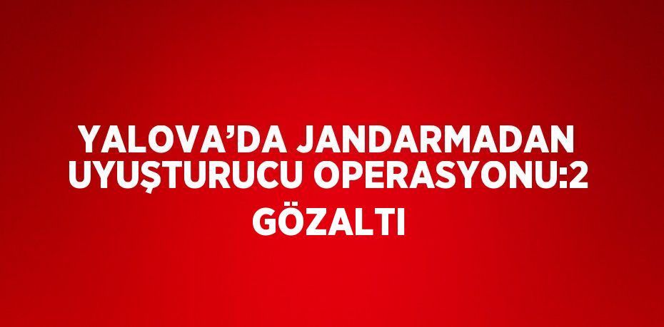 YALOVA’DA JANDARMADAN UYUŞTURUCU OPERASYONU:2 GÖZALTI