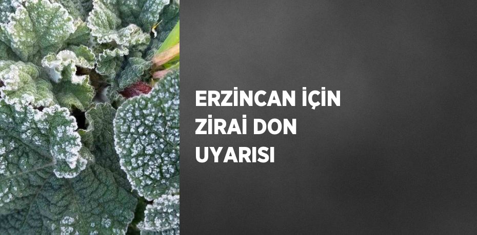 ERZİNCAN İÇİN ZİRAİ DON UYARISI