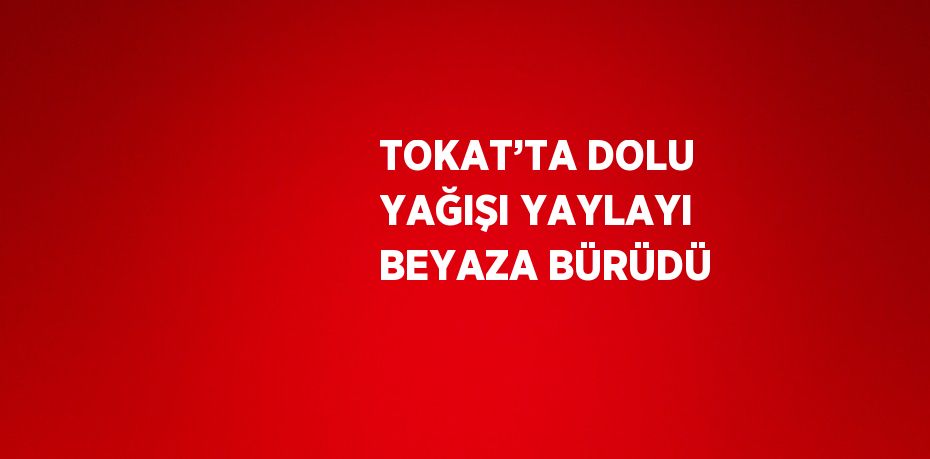 TOKAT’TA DOLU YAĞIŞI YAYLAYI BEYAZA BÜRÜDÜ