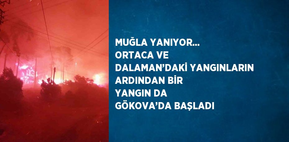 MUĞLA YANIYOR... ORTACA VE DALAMAN’DAKİ YANGINLARIN ARDINDAN BİR YANGIN DA GÖKOVA’DA BAŞLADI