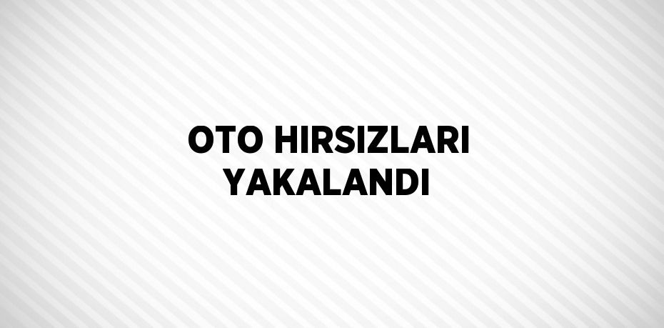 OTO HIRSIZLARI YAKALANDI