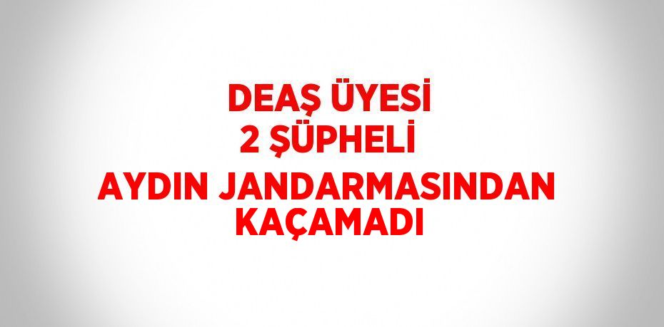 DEAŞ ÜYESİ 2 ŞÜPHELİ AYDIN JANDARMASINDAN KAÇAMADI