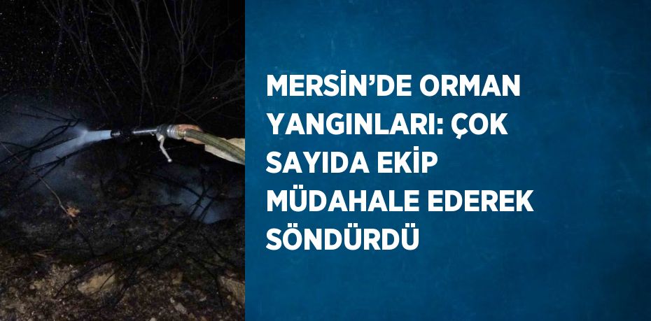 MERSİN’DE ORMAN YANGINLARI: ÇOK SAYIDA EKİP MÜDAHALE EDEREK SÖNDÜRDÜ