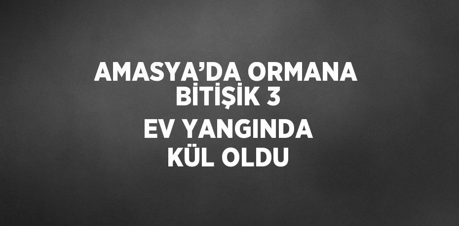 AMASYA’DA ORMANA BİTİŞİK 3 EV YANGINDA KÜL OLDU