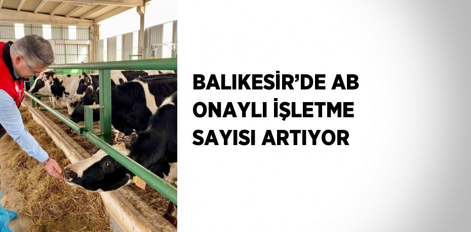 BALIKESİR’DE AB ONAYLI İŞLETME SAYISI ARTIYOR