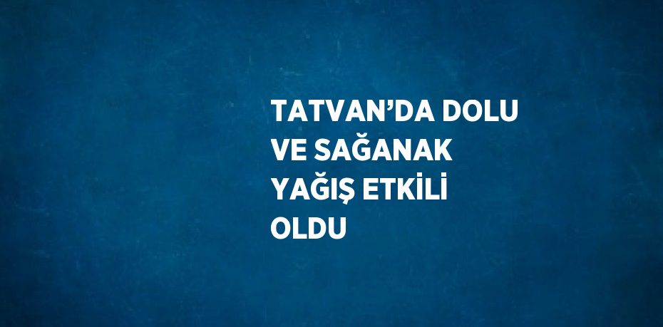 TATVAN’DA DOLU VE SAĞANAK YAĞIŞ ETKİLİ OLDU