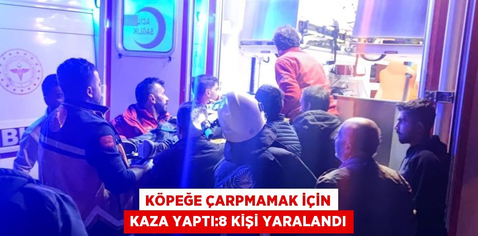 KÖPEĞE ÇARPMAMAK İÇİN KAZA YAPTI:8 KİŞİ YARALANDI