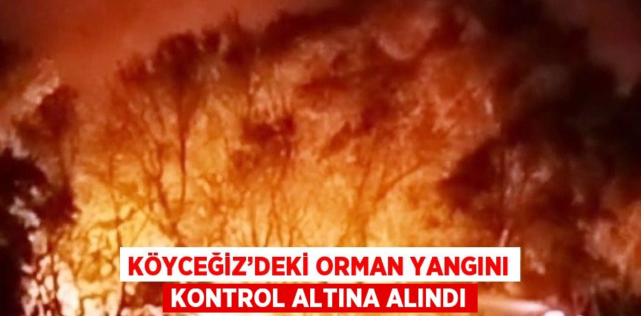 KÖYCEĞİZ’DEKİ ORMAN YANGINI KONTROL ALTINA ALINDI