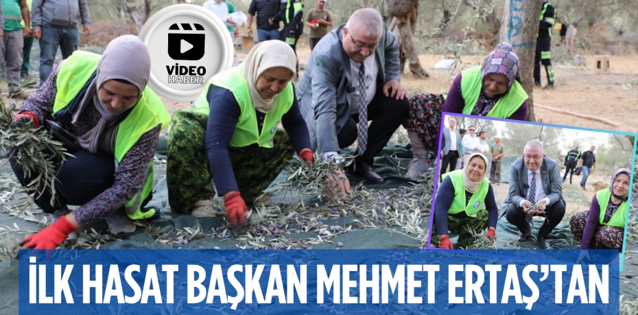 İLK HASAT BAŞKAN MEHMET ERTAŞ’TAN