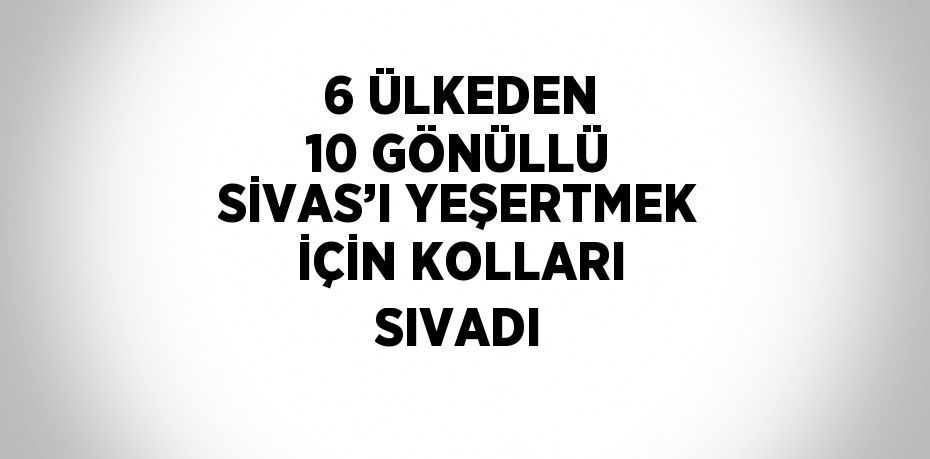 6 ÜLKEDEN 10 GÖNÜLLÜ SİVAS’I YEŞERTMEK İÇİN KOLLARI SIVADI