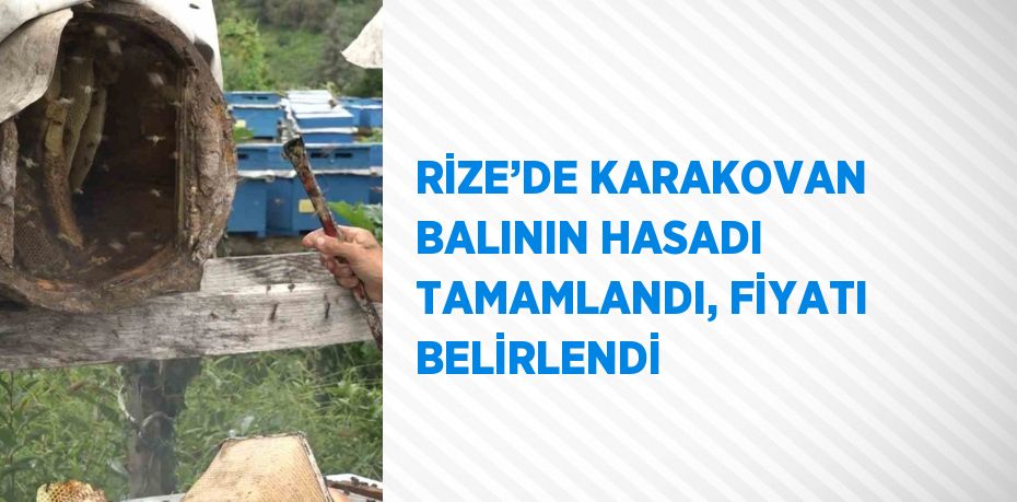 RİZE’DE KARAKOVAN BALININ HASADI TAMAMLANDI, FİYATI BELİRLENDİ