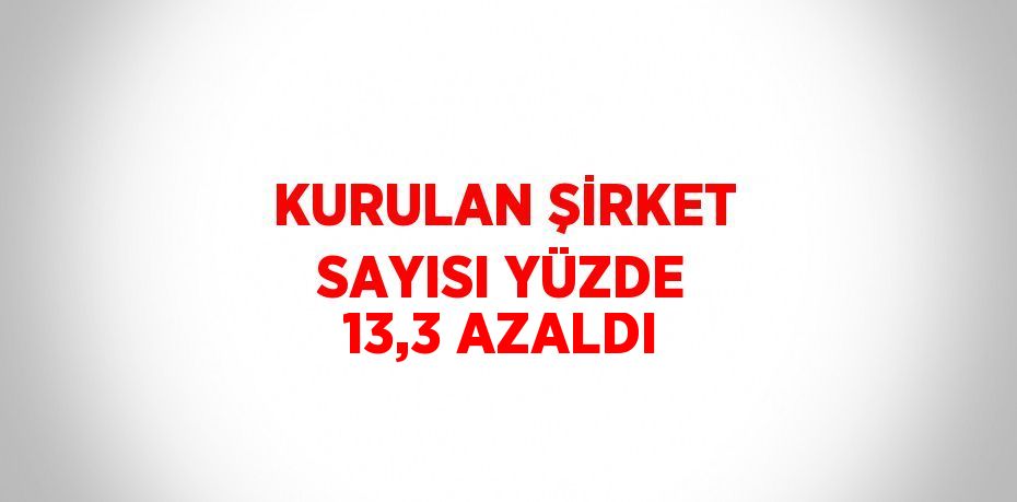 KURULAN ŞİRKET SAYISI YÜZDE 13,3 AZALDI