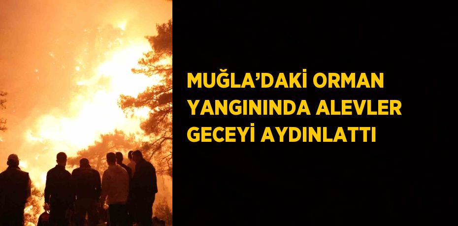 MUĞLA’DAKİ ORMAN YANGININDA ALEVLER GECEYİ AYDINLATTI