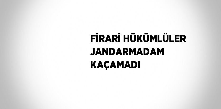 FİRARİ HÜKÜMLÜLER JANDARMADAM KAÇAMADI