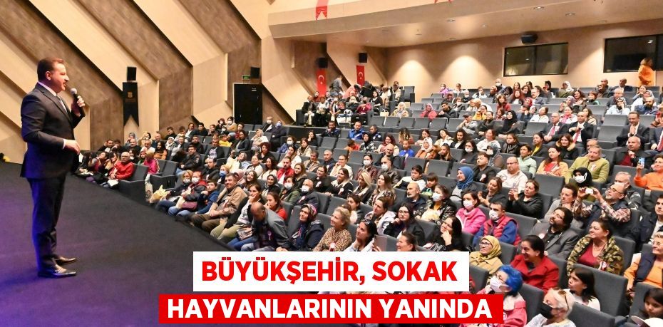 BÜYÜKŞEHİR, SOKAK HAYVANLARININ YANINDA