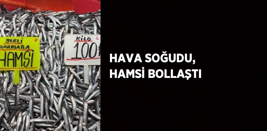 HAVA SOĞUDU, HAMSİ BOLLAŞTI