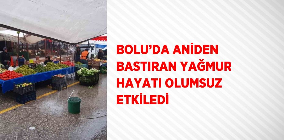 BOLU’DA ANİDEN BASTIRAN YAĞMUR HAYATI OLUMSUZ ETKİLEDİ