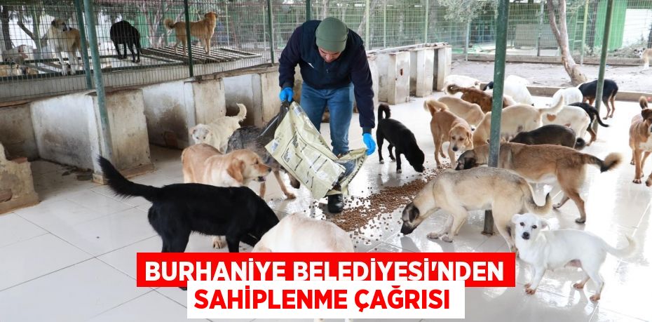 BURHANİYE BELEDİYESİ’NDEN SAHİPLENME ÇAĞRISI