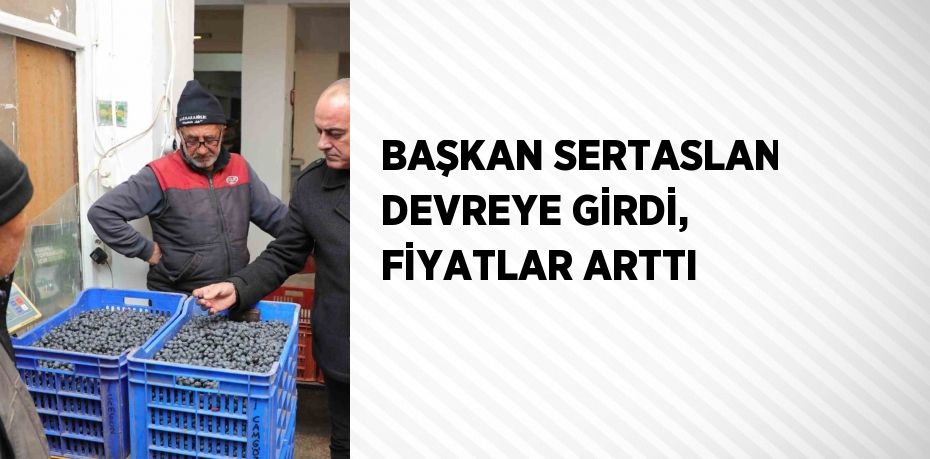 BAŞKAN SERTASLAN DEVREYE GİRDİ, FİYATLAR ARTTI