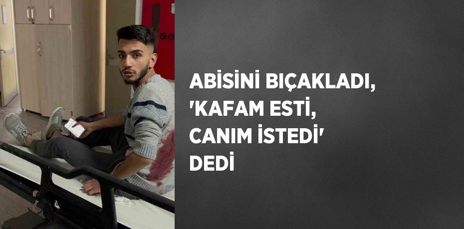 ABİSİNİ BIÇAKLADI, 'KAFAM ESTİ, CANIM İSTEDİ' DEDİ