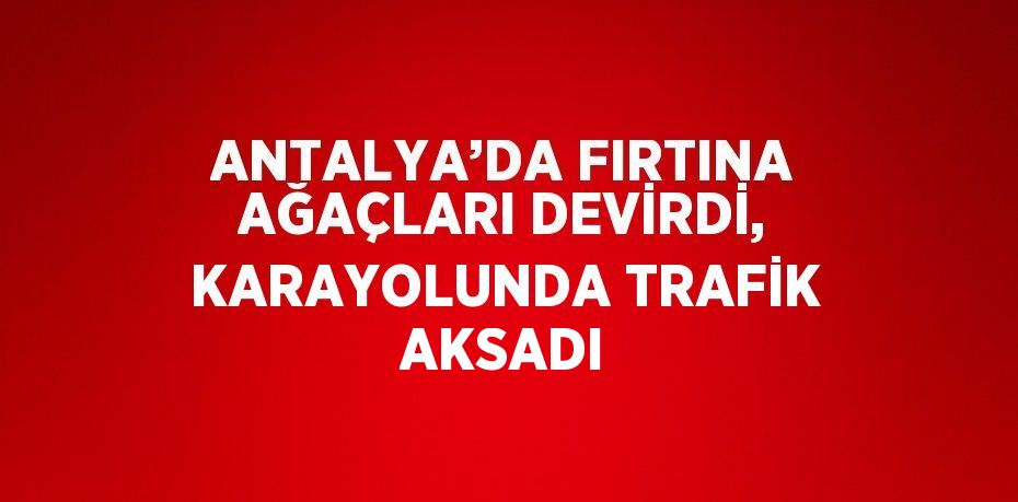 ANTALYA’DA FIRTINA AĞAÇLARI DEVİRDİ, KARAYOLUNDA TRAFİK AKSADI