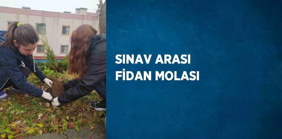 SINAV ARASI FİDAN MOLASI