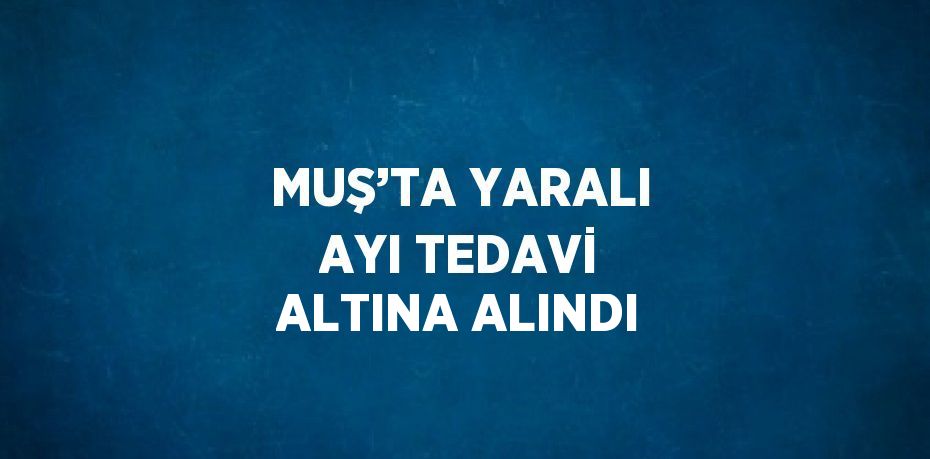 MUŞ’TA YARALI AYI TEDAVİ ALTINA ALINDI