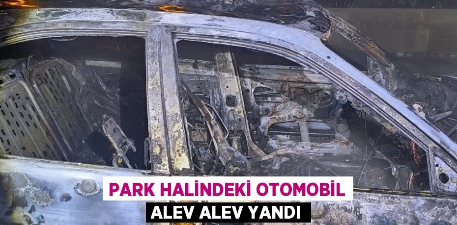 PARK HALİNDEKİ OTOMOBİL ALEV ALEV YANDI