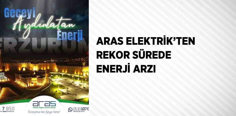 ARAS ELEKTRİK’TEN REKOR SÜREDE ENERJİ ARZI