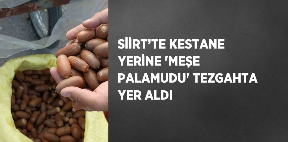 SİİRT’TE KESTANE YERİNE 'MEŞE PALAMUDU' TEZGAHTA YER ALDI