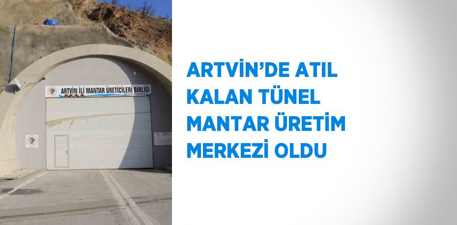 ARTVİN’DE ATIL KALAN TÜNEL MANTAR ÜRETİM MERKEZİ OLDU