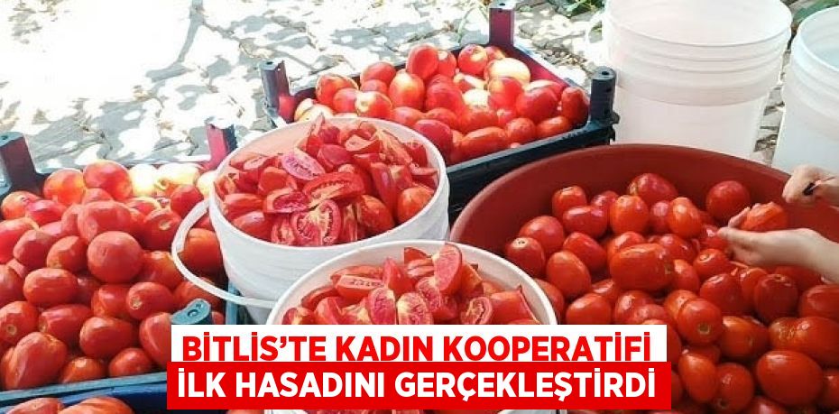 BİTLİS’TE KADIN KOOPERATİFİ İLK HASADINI GERÇEKLEŞTİRDİ