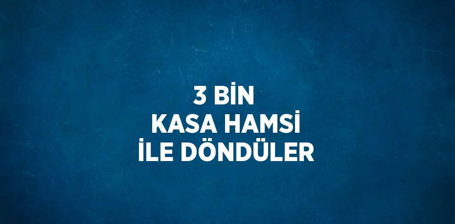 3 BİN KASA HAMSİ İLE DÖNDÜLER