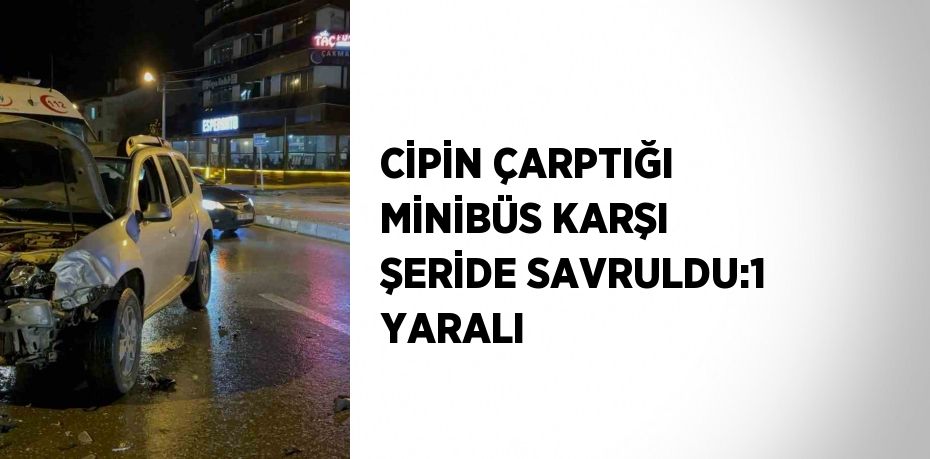 CİPİN ÇARPTIĞI MİNİBÜS KARŞI ŞERİDE SAVRULDU:1 YARALI