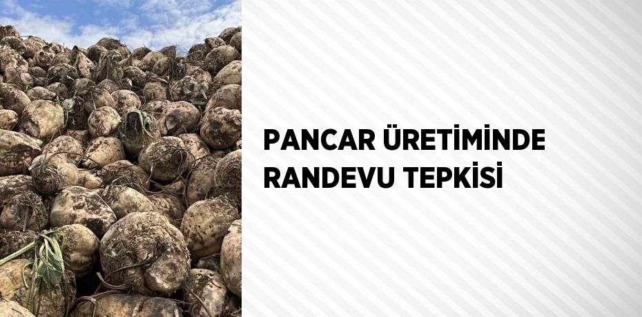 PANCAR ÜRETİMİNDE RANDEVU TEPKİSİ